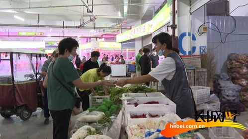 高清組圖丨打卡石家莊塔壇佳農(nóng)批發(fā)市場(chǎng)