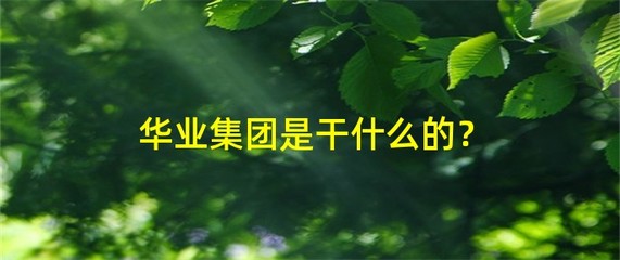 華業(yè)集團(tuán)是干什么的?