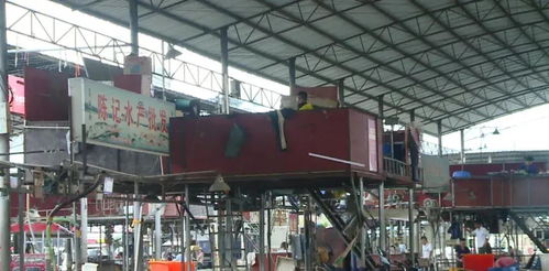 廣西一水產(chǎn)批發(fā)市場攤位上都搭有個木屋 車間 倉庫 宿舍 三合一 引人擔憂