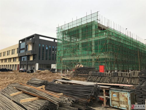 中國供銷 大悟農貿批發城2018年2月上旬工程進度實拍