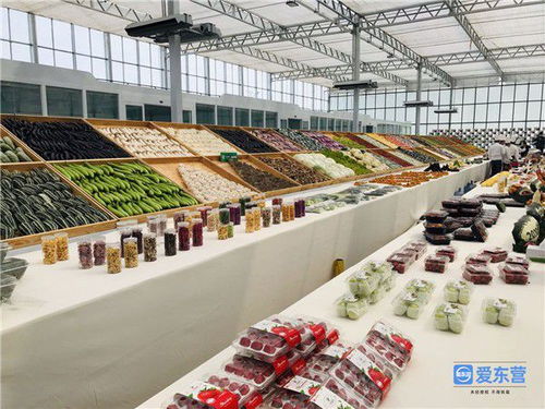 i東營 來自重點(diǎn)工程項(xiàng)目一線的報(bào)道蔬菜大棚變身智能工廠